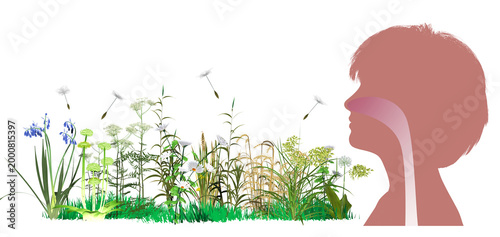 3D illustration of a woman's head profile with the upper human respiratory system (ENT). Alongside wildflowers and pollen floating in the air that trigger spring allergies. 