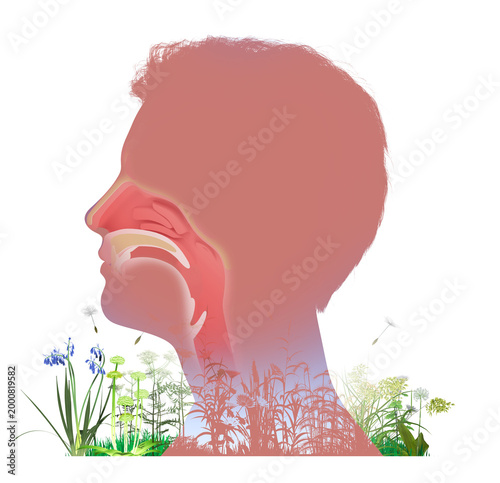 3D animated illustration of a man's head profile with the upper human respiratory system (ENT). Graphically mixed with wildflowers and pollen swirling in the air, triggering spring allergies. 