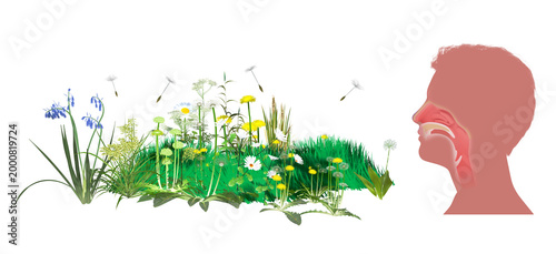 3D illustration of wildflowers and plants moving and rotating. Spreading pollen and dandelion seeds that trigger spring allergies. Graphic style with flat colors on a white background.