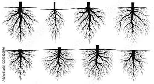 Collection of various tree root silhouettes showing underground plant structure and growth patterns isolated on white background.