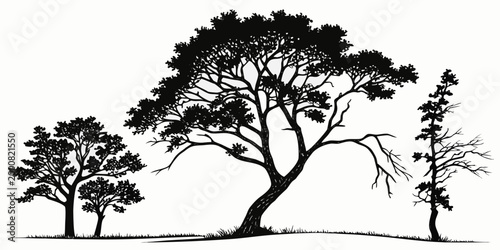 Detailed silhouette illustration of various forest trees on grass with silhouette landscape woodland botanical illustration environment wilderness isolated background greenery outdoor-scene