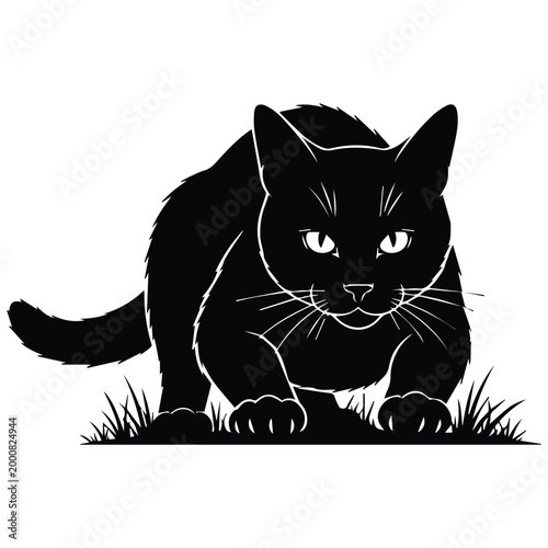 Cat silhouette stalking and hunting in the grass outdoors