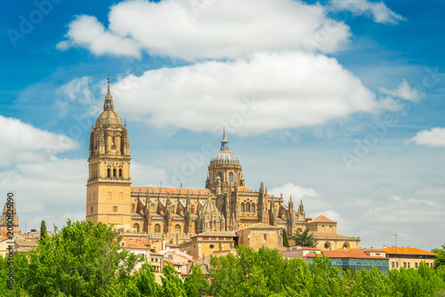 Cathedral of Salamanca and Green Trees on Sunny Day. Blue Sky with Clouds. Old Town, Spain