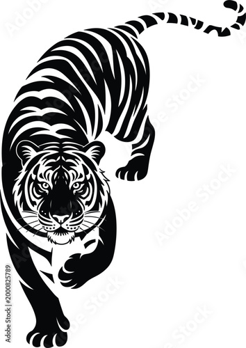 Obraz na plátně Professional vector silhouette of a Bengal tiger in a powerful stalking pose with detailed stripes and intense facial expression