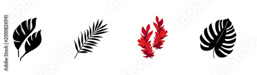 wheat ears on white background