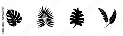 wheat ears isolated on white