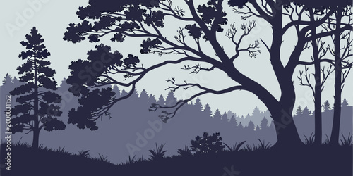Landscape silhouette of deciduous and coniferous trees in a misty woodland scene with silhouette landscape coniferous deciduous background minimalist illustration environment peaceful
