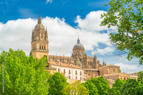Cathedral of Salamanca and Green Trees on Sunny Day. Blue Sky with Clouds. Old Town, Spain