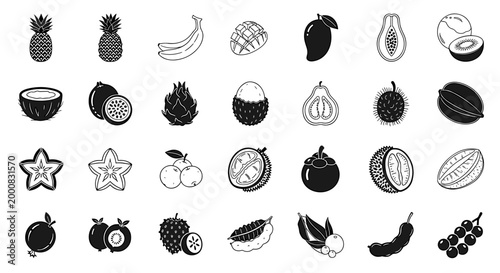 Collection of Tropical Fruits Icons and Illustrations in Black and White Monochrome Style, Vector Set