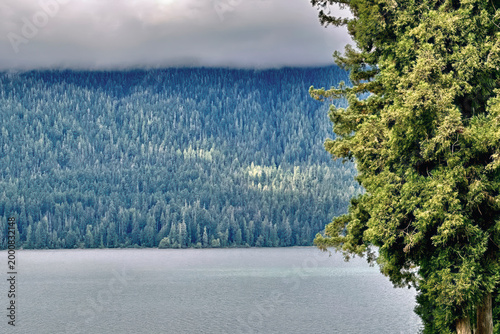 Ethereal lake and conifer forest under low hanging clouds
