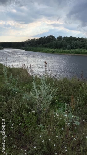 Rain falls on a high riverbank in cloudy weather before a thunderstorm. A river with forested banks on a rainy summer day