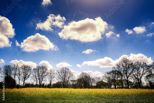 Ammerland Wiefelstede Sommer