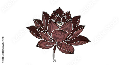 elegant lotus flower illustration with detailed petals isolated on transparent background
