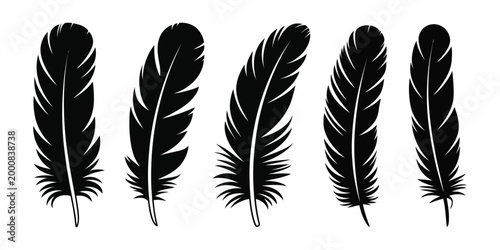 Black feather vector illustration featuring realistic quill plume in vintage hand drawn style for elegant decorative and natural design use