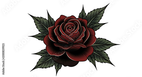 elegant red rose with green leaves isolated on transparent background