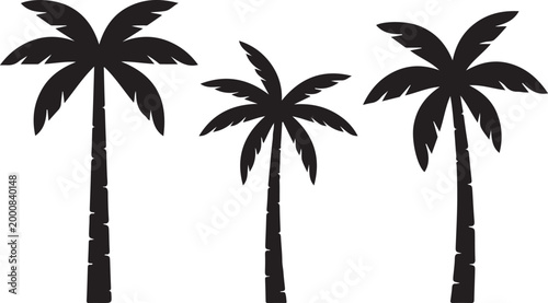 Three palm trees silhouettes on white background