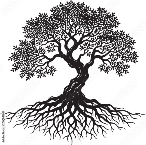 Tree with roots and leaves on white background