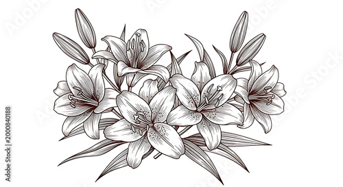 elegant white lily flower bouquet illustration isolated on transparent background