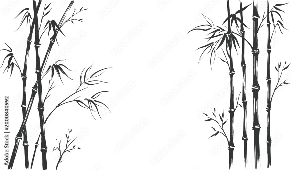 Naklejka premium Elegant bamboo tropical clip art black and white botanical illustration