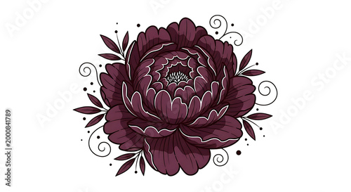 elegant purple peony flower illustration isolated on transparent background