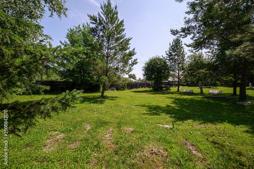 Photos sunny grassy yard bordered by tall pine and deciduous trees; wooden fence in bac