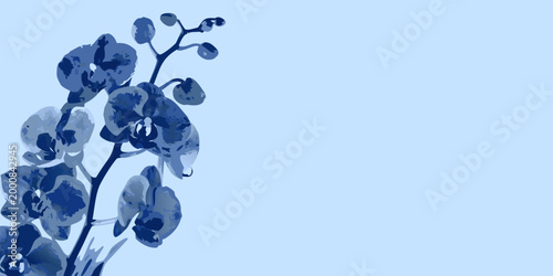 botanical illustration of an orchid with blue monochromatic color scheme high quality professional detailed modern