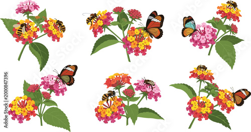 Lantana Flower Vector Set with Colorful Butterflies and Honey Bees Pollinator Nature Garden Scenes