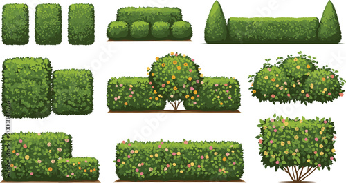 Garden Hedge and Flowering Bush Vector Set with Trimmed Topiary Trees and Colorful Rose Shrubs