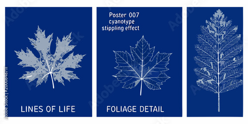 three scientific posters featuring detailed leaf illustrations on blue background high quality professional modern elegant