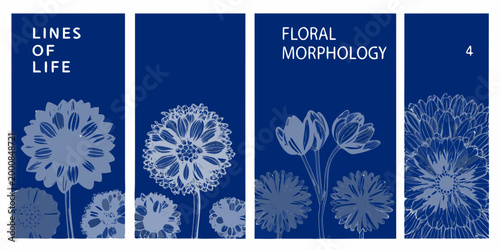 four scientific posters with floral morphology illustrations on blue background high quality professional detailed modern