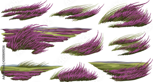 Tableau sur toile Purple Heather Windswept Moorland Bush Vector Set with Dynamic Grass and Field L