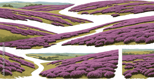 Valokuva Purple Heather Moorland Landscape Vector Set with Rolling Hills Fields and Sceni