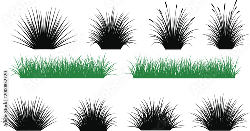 Obraz na plátně Grass and bush silhouette collection with green lawn borders, wild plants, and d