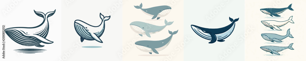 Obraz premium Whale Vector Illustration Collection