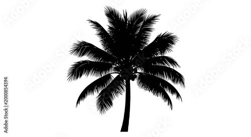 A black silhouette of a palm tree on a white background