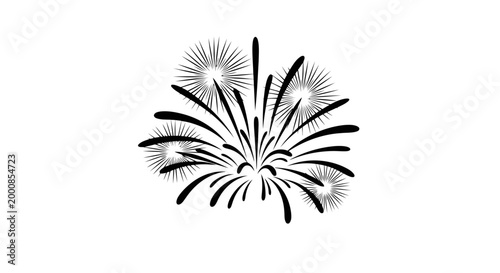 A black and white image of a firework explosion