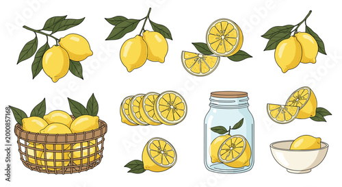 Fresh yellow lemon fruit set including whole lemons branches slices a jar of lemonade and a bowl for citrus lovers.