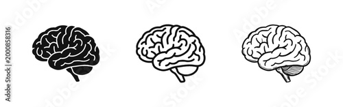 Human Brain Anatomy Icon Set in Silhouette, Outline and Hand Drawn Styles