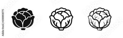 Fresh Cabbage Vegetable Icon Set in Silhouette, Outline and Hand Drawn Styles