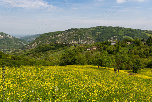 Foto Wide angle panoramic view of a rolling green hillside with a vibrant meadow of y