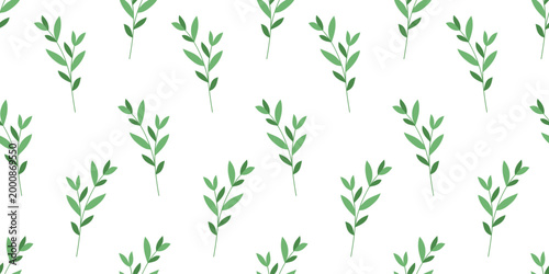 Seamless pattern Botanical of leaf plants. Vector illustration hand drawn in a flat style. Flora background, branches with leaves.