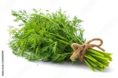 fresh bunch of dill herb tied with string, isolated on white background