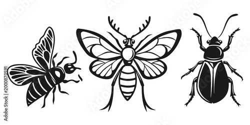 Collection of various insects silhouette icons including butterflies beetles and other bugs with butterfly silhouette wildlife entomology collection creature crawling isolated environment