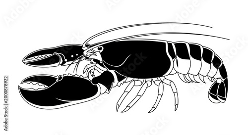 Detailed black and white vector illustration of a lobster. Side view of a marine crustacean, perfect for seafood menus or nautical designs.