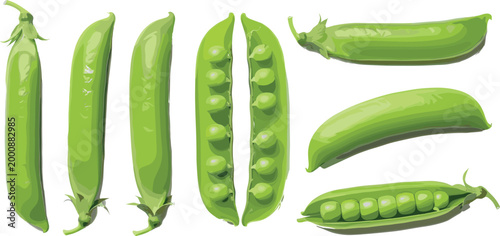 Set of Green Peas in Pods with Different Pea Counts and Opened Pods, Vector Illustration for Websites, Apps, and Digital Media Projects