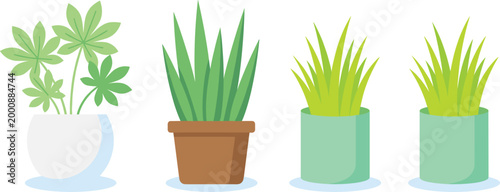 Various potted houseplants in simple flat design against a white background for interior decor concepts