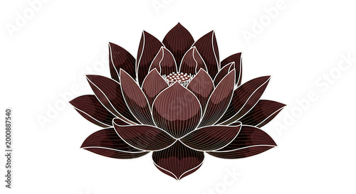 elegant lotus flower illustration with intricate petals isolated on transparent background