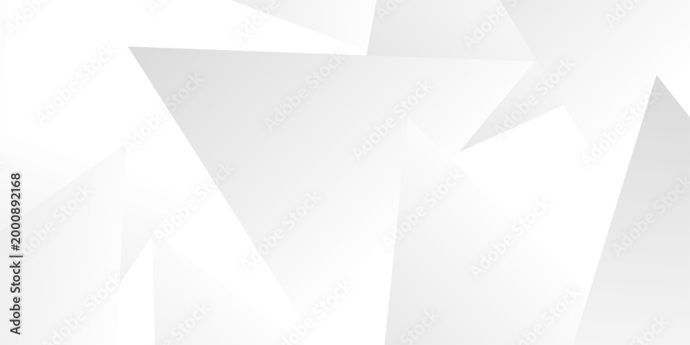 Obraz premium High-Tech Abstract Visual Background in a White and Gray Palette, Integrating Fine Geometric Lines, Diamond and Triangle Patterns. Geometric Grey Polygonal Background With Faceted Triangles .