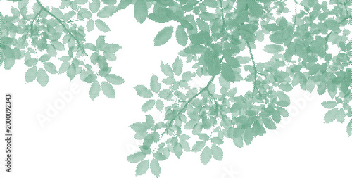 Quadro em tela Overlapping green leaves and branches with textured effect