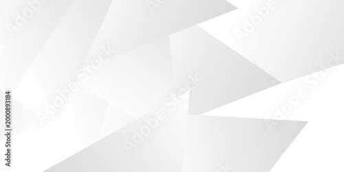 Obraz na płótnie High-Tech Abstract Visual Background in a White and Gray Palette, Integrating Fine Geometric Lines, Diamond and Triangle Patterns